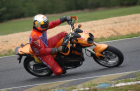 thumbs/DSC_3811_800.png