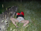 thumbs/im002159.png